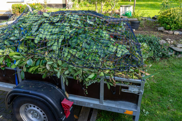 Best Furniture Removal  in Columbus Junction, IA
